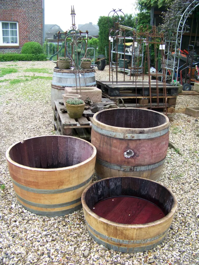 Weinfässer in verschiedenen Größen vor Rankhilfen